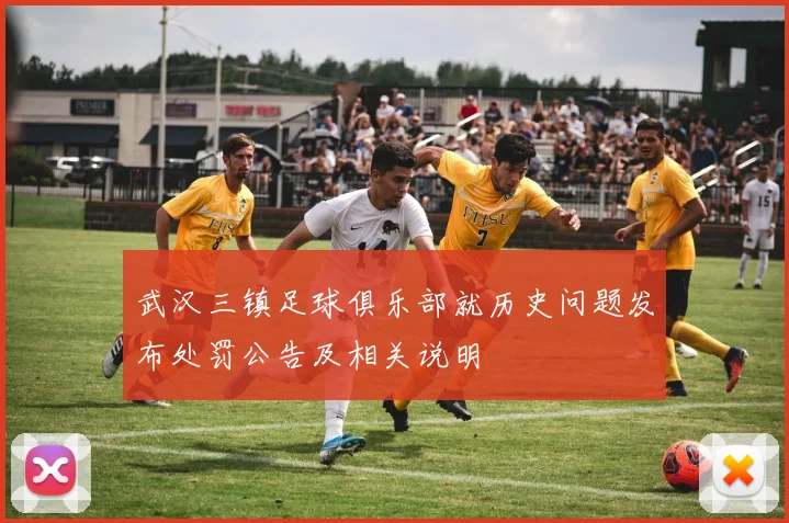 武汉三镇足球俱乐部就历史问题发布处罚公告及相关说明